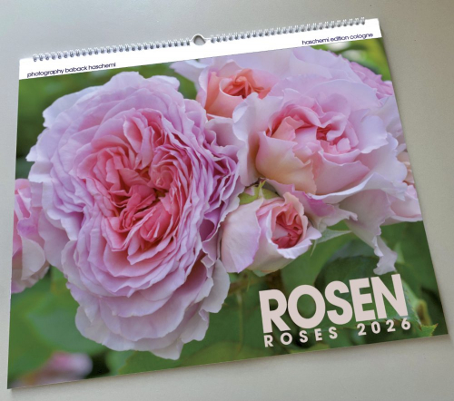 ROSEN KALENDER