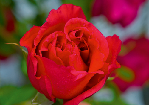 DOPPELKARTE n° 1960