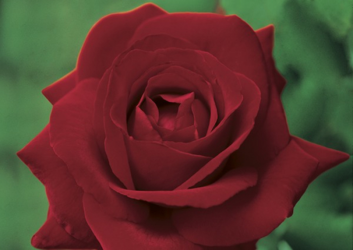 DOPPELKARTE n° 1842