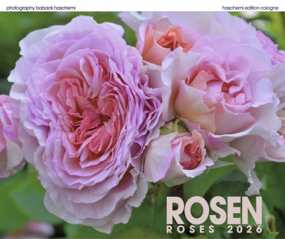 ROSEN KALENDER